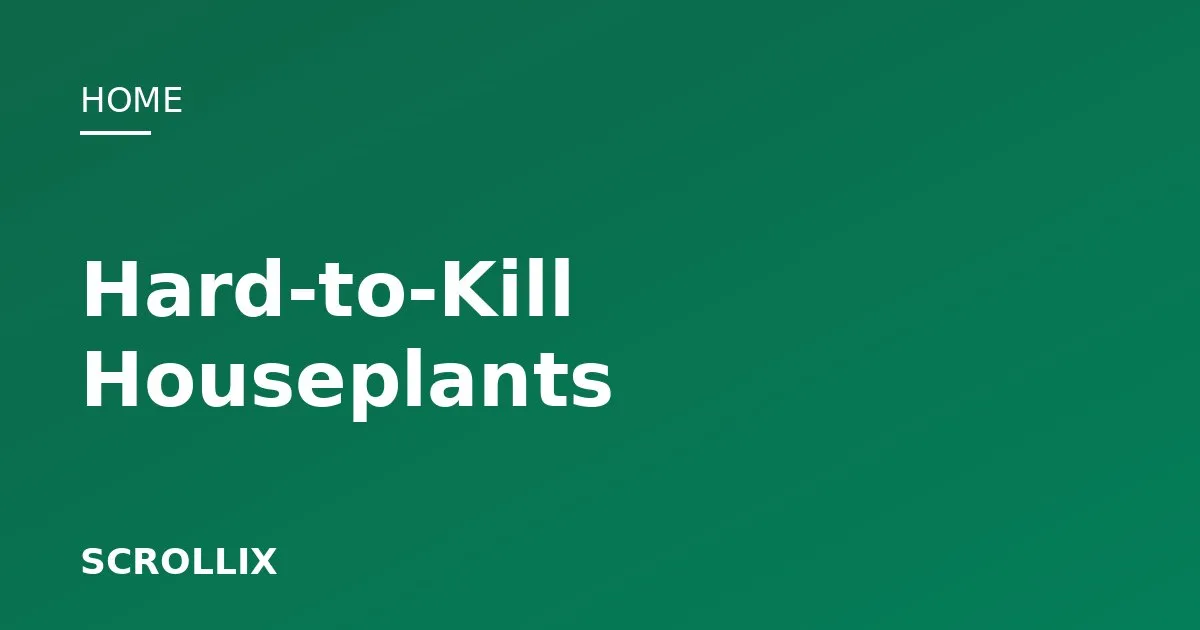 Cover image for 8 Houseplants That Are Almost Impossible to Kill